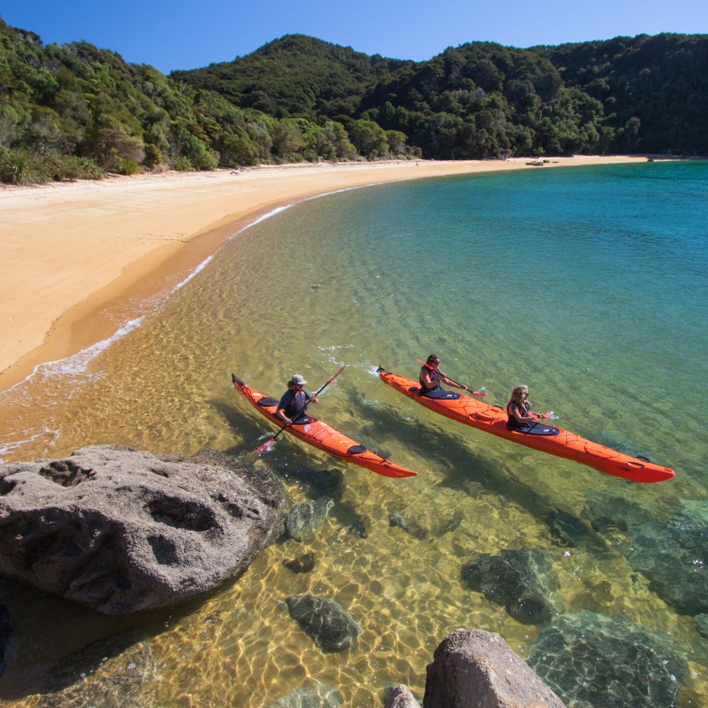 Website Picture Summer